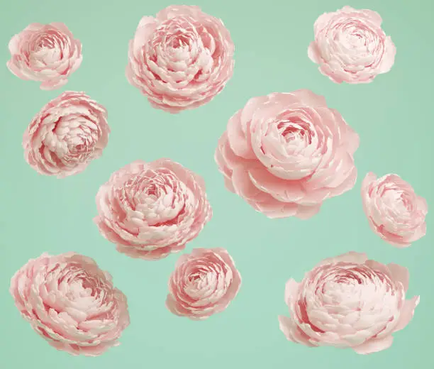 Falling roses on vintage background. Background for cosmetic product branding, identity and packaging. 3d illustration.