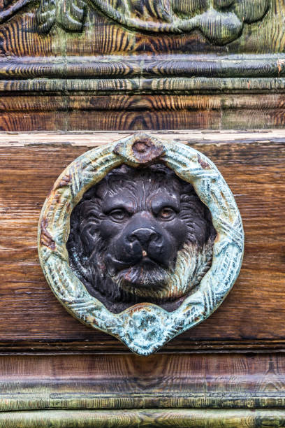 старая дверь со львиным дверным молотком. - door knocker door lion luxury стоковые фото и изображения