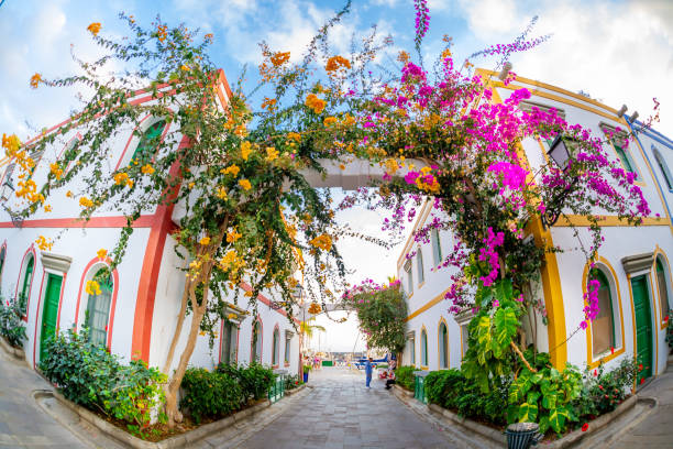 istock Puerto de Mogan Canary Island Spain 1403790537