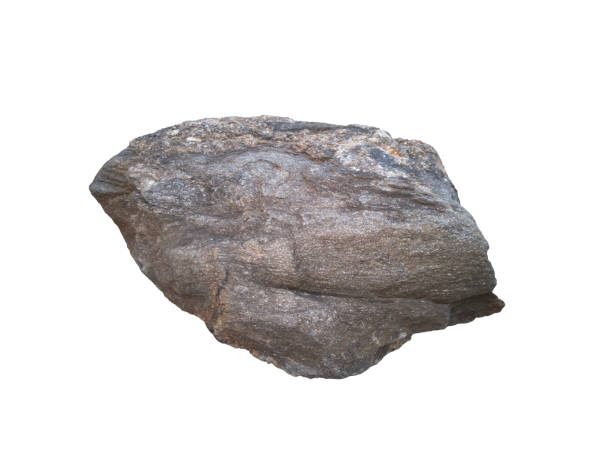 istock Schist rock isolated on white background included clipping path. 1403791718