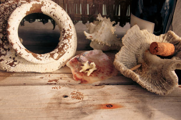 istock Dead coral and capiz shell used as decorations 1403793005