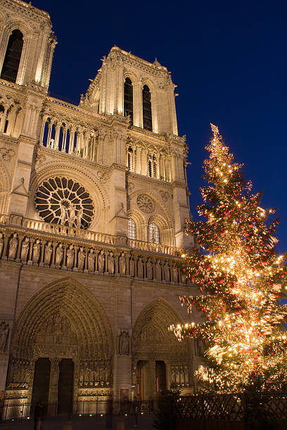 Notre-Dame cathedral at Christmas with a decorated tree