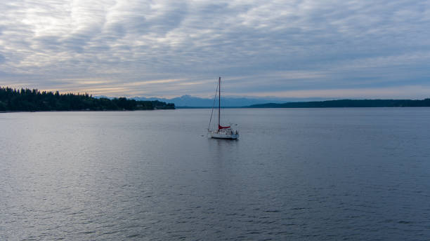 istock Sailboat on the Puget Sound 1403798472
