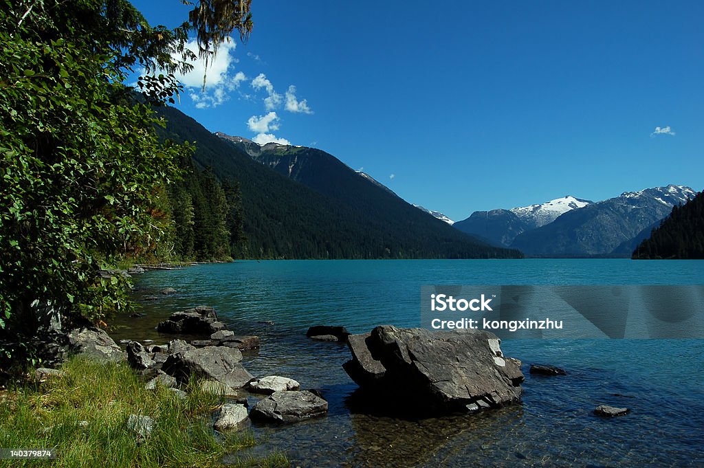 cheakamus lake im garibaldi provincial park - Lizenzfrei Baum Stock-Foto