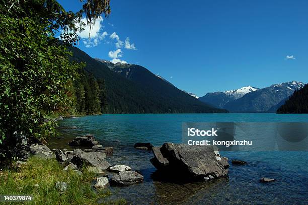 Cheakamus Lake Im Garibaldi Provincial Park Stockfoto und mehr Bilder von Baum - Baum, Berg, Bildhintergrund