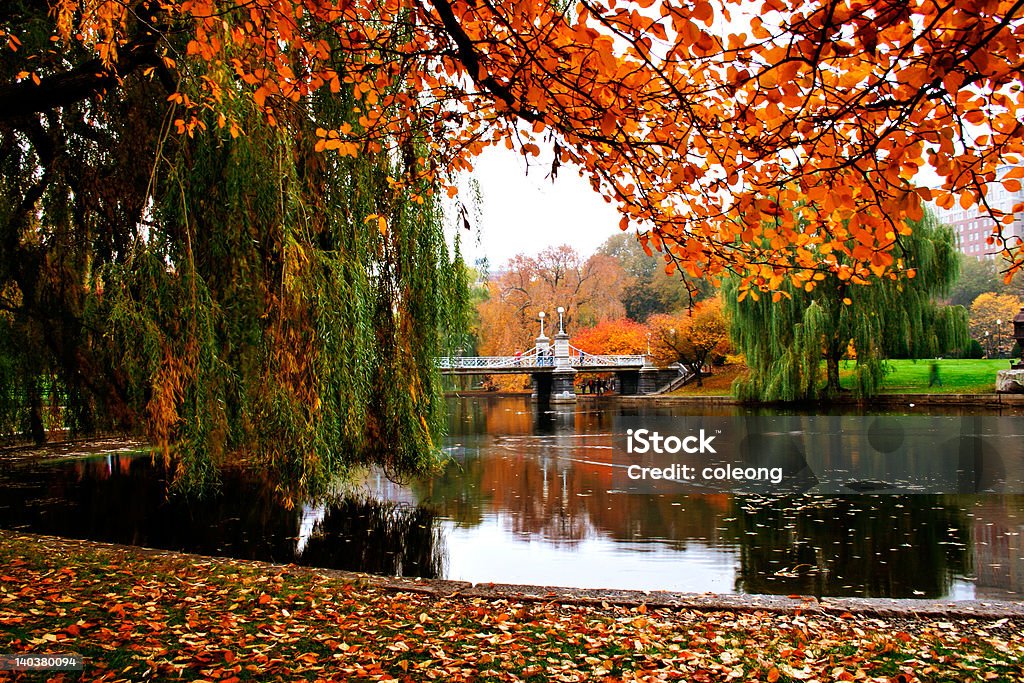 View of Boston Public Garden's lake in Autumn  Autumn in Boston Public Garden Boston - Massachusetts Stock Photo