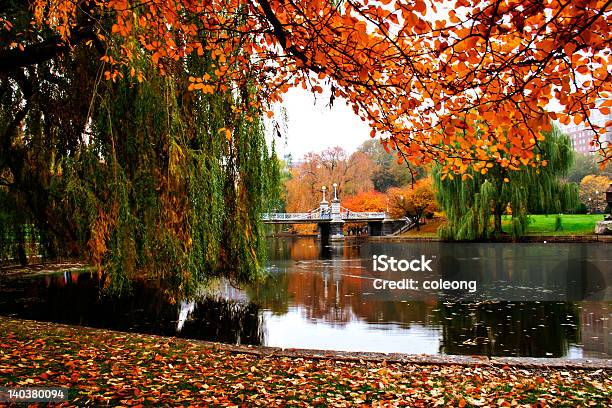 View Of Boston Public Gardens Lake In Autumn Stock Photo - Download Image Now - Boston - Massachusetts, Autumn, Boston Public Garden