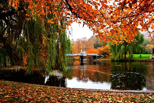 Photo of View of Boston Public Garden's lake in Autumn 