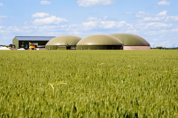 istock Biogas plant in a green wheat field. 1403802176