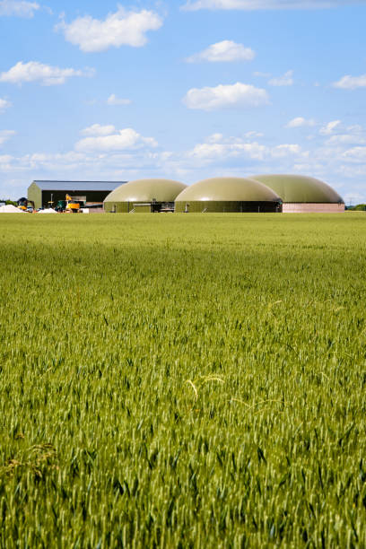 istock Biogas plant in a green wheat field. 1403802197