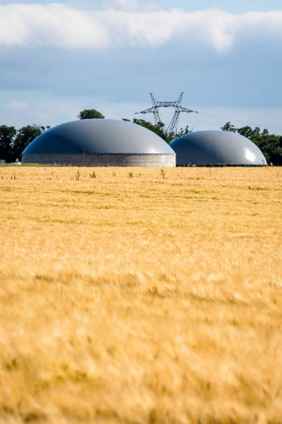 planta de biogás em um campo de trigo. - digester - fotografias e filmes do acervo