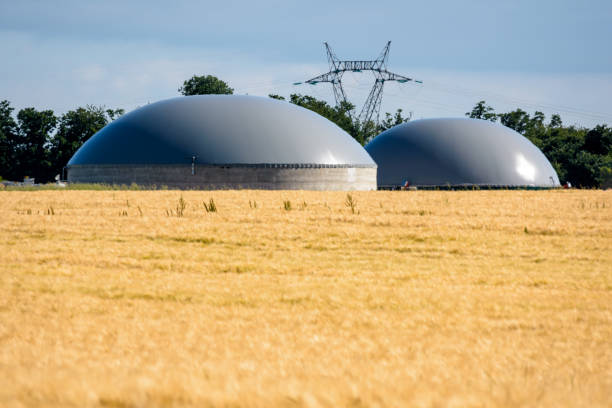 planta de biogás em um campo de trigo. - digester - fotografias e filmes do acervo