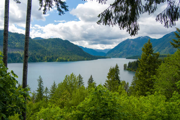 istock Lake Cushman in June 2022 1403802376