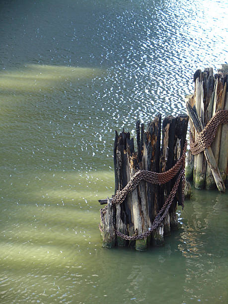 Old Wood & Chains in Water stock photo