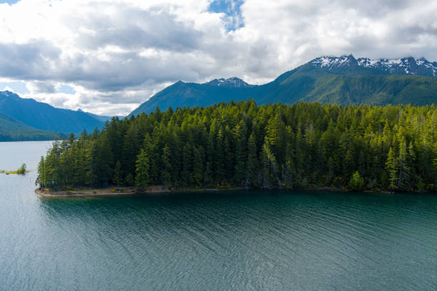 istock Lake Cushman in June 1403803706