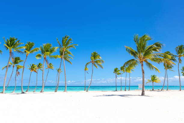 Juanillo beach, Dominican Republic. Luxury travel destination stock photo