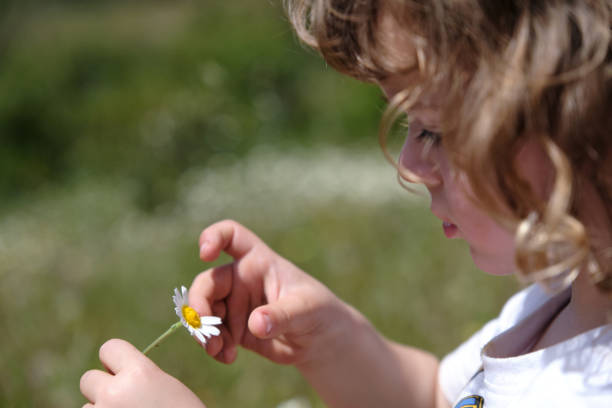 istock Kid picking petals of flower in meadow 1403806553