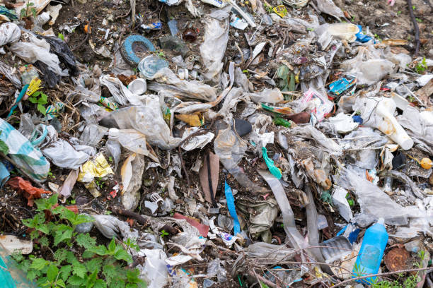 istock wild garbage dump. residual glass, plastics in the forest 1403807207