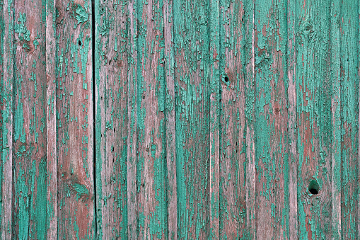 Old green brown shabby painted wooden background texture.