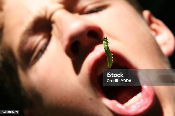 Caterpillar Delight Stock Photo - Download Image Now - Eating, Insect, Child