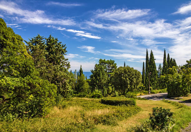 Livadia park, Yalta, Crimea