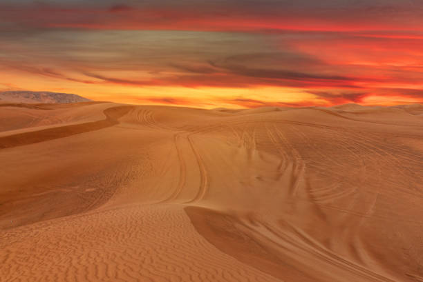 istock Desert red sunset sand dunes, United Arab Emirates, Dubai 1403807740