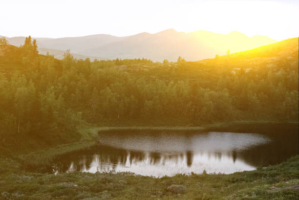Mountain lake landscape with sun rays, Otta, Norway. Green forest with fir trees.