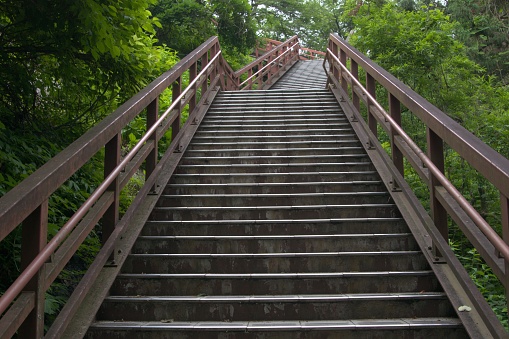 Staircase in the Forest　in japan miyagi sitikasyuku
