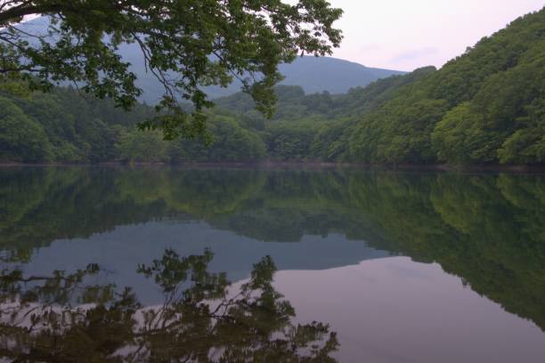 istock tyourou rake in japan miyagi sitikasyuku 1403808704