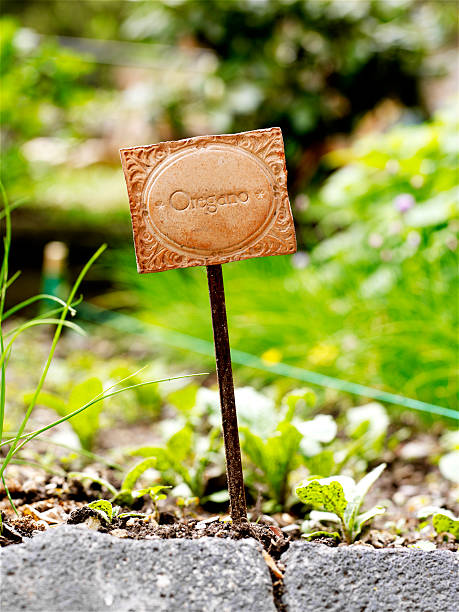 oregano sign stock photo