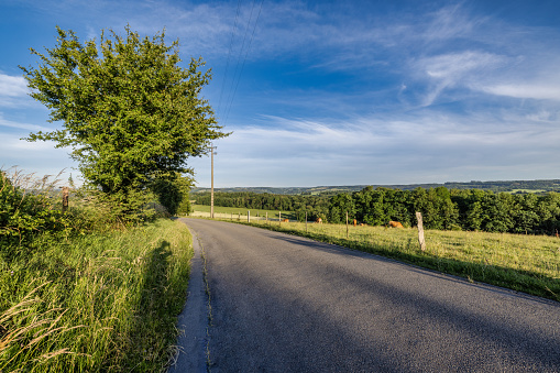 Empty road in green nature from low angle with blue dramatic sky and clouds in the background. Idea for composite or sky replacement.\nCopy space provided.