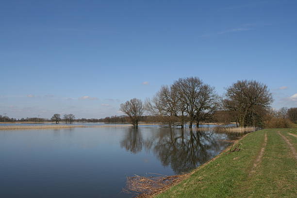 Flooded river stock photo