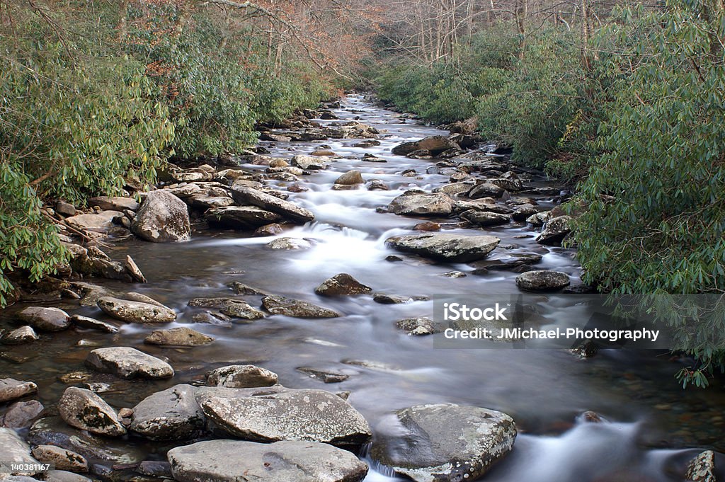 Great Smoky Mountains National Park - Photo de Activité de loisirs libre de droits