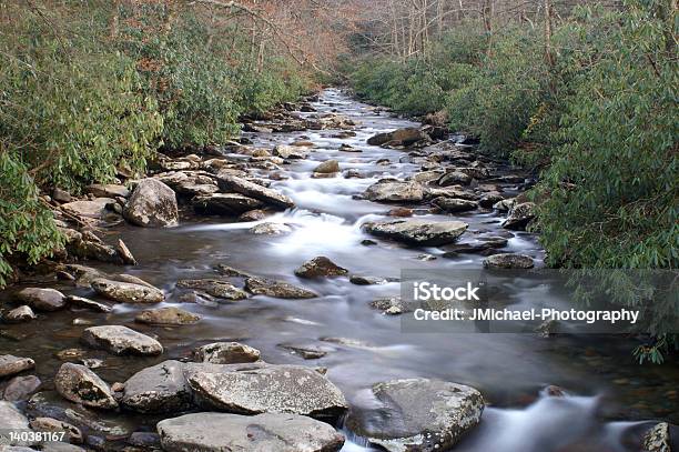 Park Narodowy Great Smoky Mountains - zdjęcia stockowe i więcej obrazów Bez ludzi - Bez ludzi, Drzewo, Fotografika
