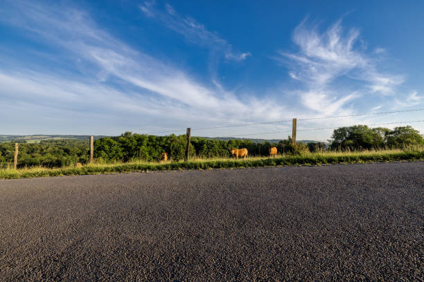 Empty road in green nature from low angle with blue dramatic sky and clouds in the background. Idea for composite or sky replacement.\nCopy space provided.