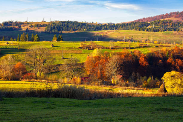 istock rural landscape in mountains 1403813419