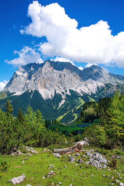 il monte zugspitze in estate vicino a ehrwald in austria. - wetterstein mountains summer hut european alps foto e immagini stock