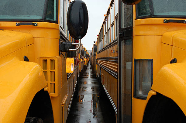 Closeup of a row of school buses stock photo