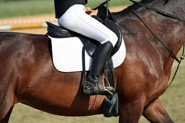 Detailed shot of a horseback riding girl, where you only can see parts of the horse, parts of the rider, the saddle, white jodhpurs, black riding boots, the spurs, saddle-blanket and the body of the horse... The picture is made on a showjumping-event. The riding girl has reins in one hand.