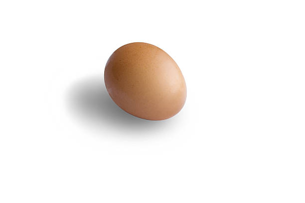 Simple Egg stock photo