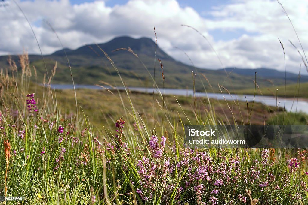 Highlands scozzesi - Foto stock royalty-free di Acquitrino di torbiera