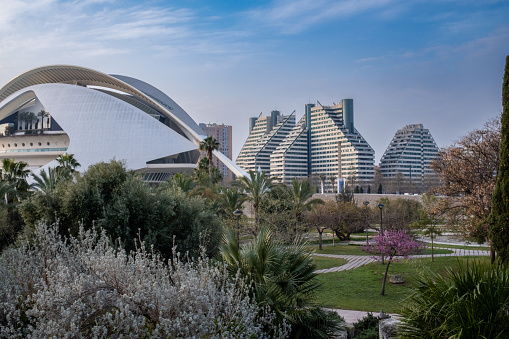 Partial view of the Jardí del Túria (Turia Gardens) in Valencia, Spain. In the background modern residential buildings and the majestic Palau de les Arts Reina Sofía (Queen Sofia Palace of Arts) designed by Santiago Calatrava, part of the futuristic City of Arts and Sciences architectural complex.