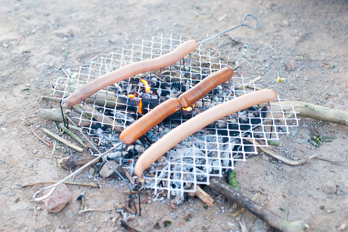 Hot dog sausage on a campfire, preparing food in the wilderness, bush craft and survival concept, grilled meat, vacation tri
