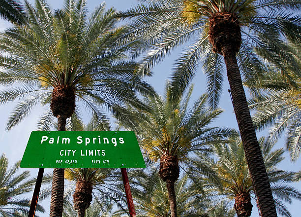 Palm Springs city welcome sign beneath a tall grove of trees. Travel and tourism in Palm Springs.