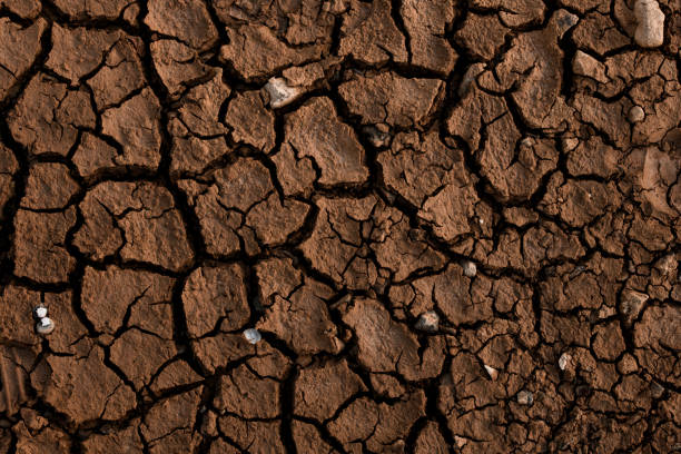 Close-up top view of dry ground with cracks in the background. stock photo