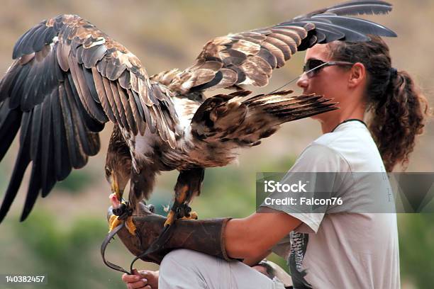 Eagle On The Hand Stock Photo - Download Image Now - Animal Trainer, Bird, Women