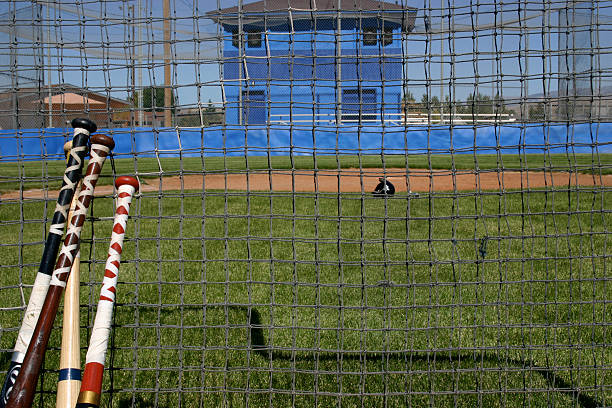 BATTING PRACTICE BATTING PRACTICE SCREEN VIEW OF HOME PLATE baseball cage stock pictures, royalty-free photos & images