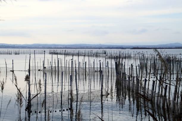 istock Fishing nets stranded in a lagoon at sunset. 1403825212