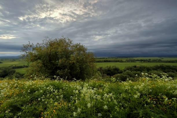 Beautiful early morning landscape in Byron Bay