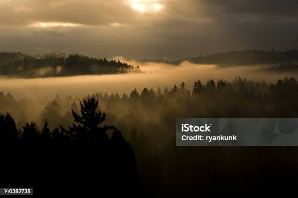 Valley Of Fog Stock Photo - Download Image Now - Dark, Sulking, Cold Temperature